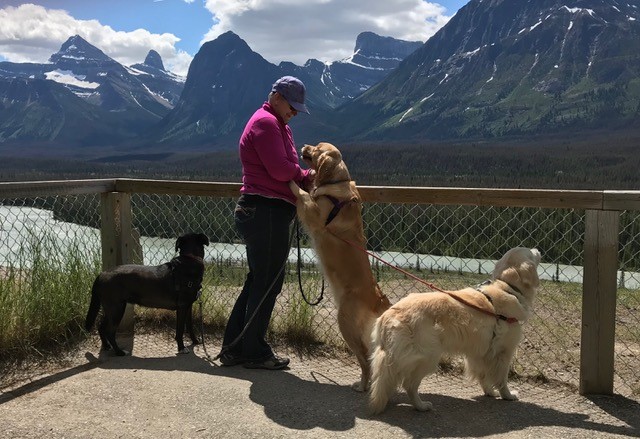 Hanging with Hounds