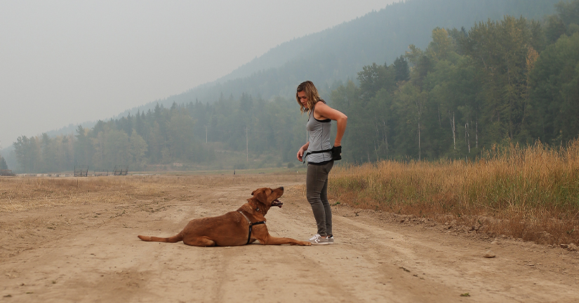 dog trainer Katie Guille