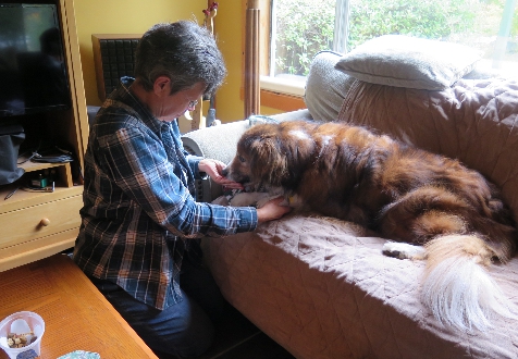 Dog trainer Heather Fox with her dog during a nail trimming session.