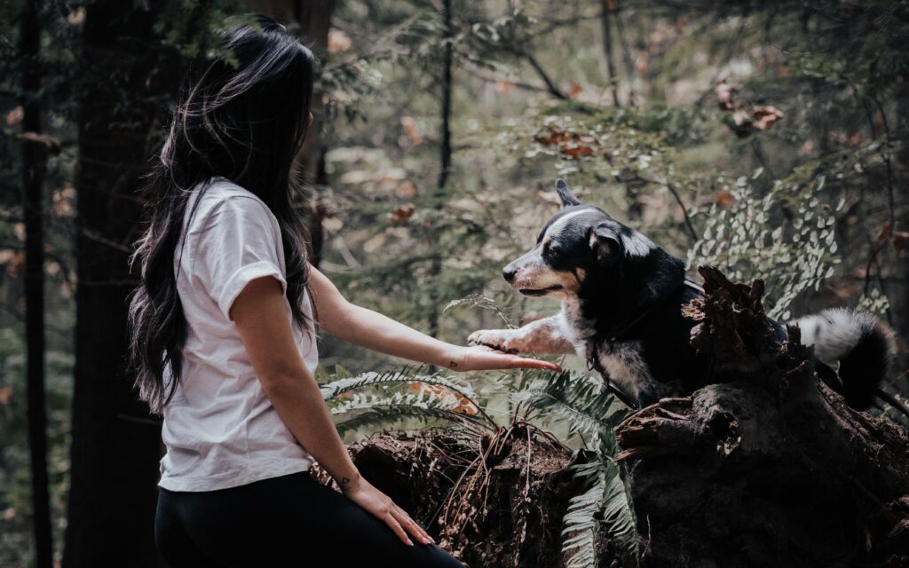 Dog giving paw to dog trainer Sandy Wei