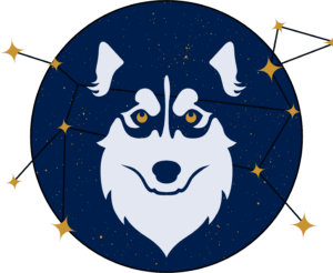Epsilon Dog Training<br>‌