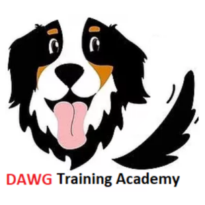 DAWG Pet Care & Training<br>Best Paw Forward