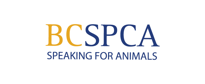 Animalkind bc hot sale spca