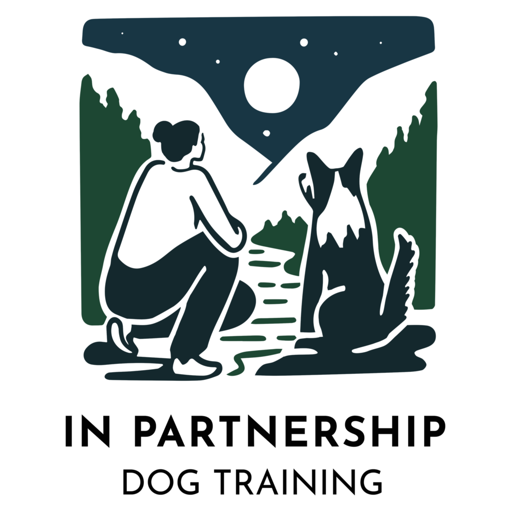 In Partnership Dog Training in Vancouver