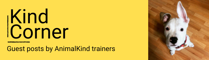 posts about dog training by AnimalKind trainers