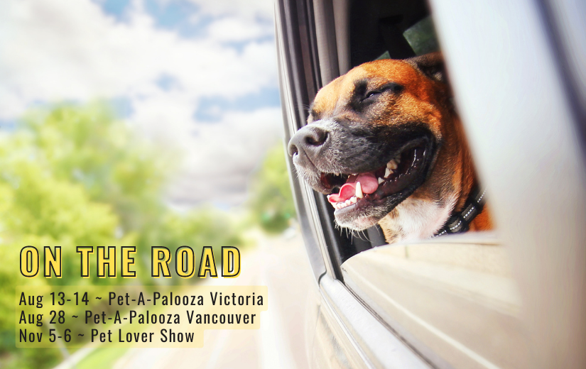 AnimalKind on the road at events in the Lower Mainland and Victoria