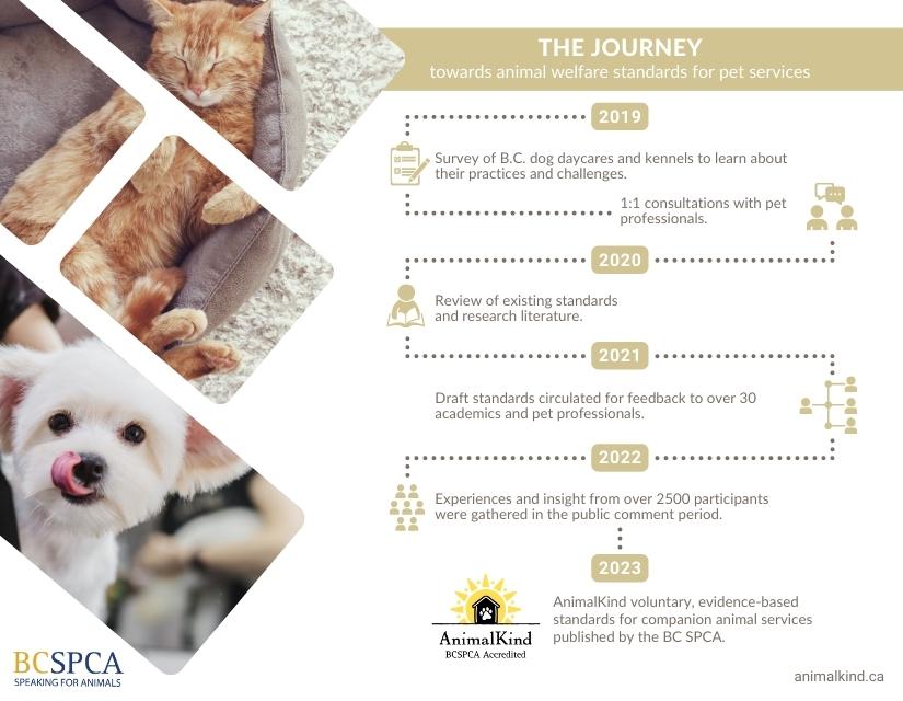 journey towards pet services standards by BC SPCA AnimalKind