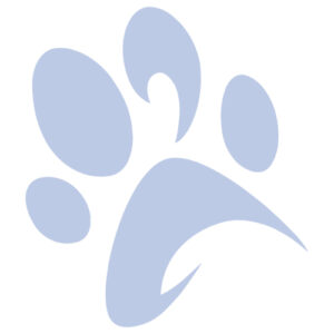 Yaletown Dog Training offers dog training services in Vancouver and it is BC SPCA AnimalKind accredited